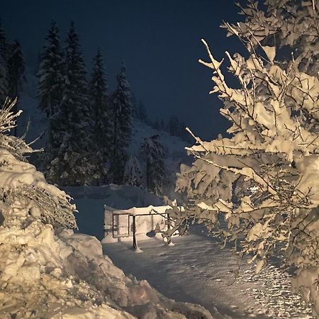 Appartamento Almen-Kraeuter-Oberreiter Dellach im Drautal Esterno foto