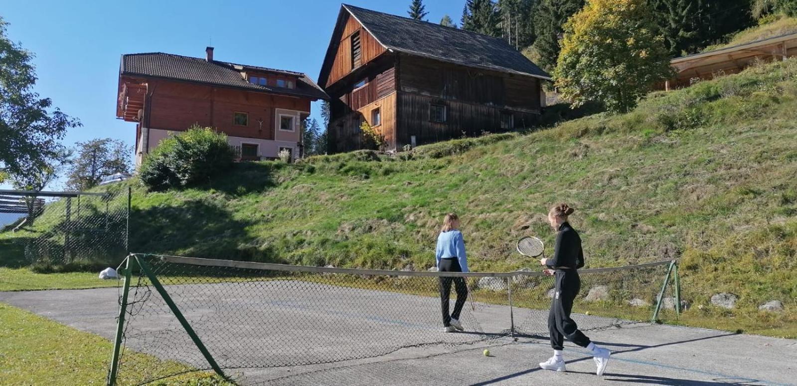 Appartamento Almen-Kraeuter-Oberreiter Dellach im Drautal Esterno foto