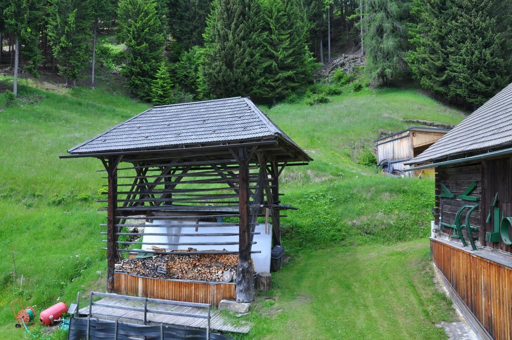 Appartamento Almen-Kraeuter-Oberreiter Dellach im Drautal Esterno foto