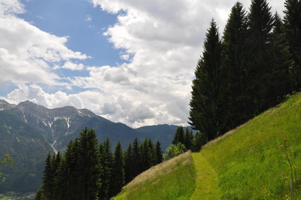 Appartamento Almen-Kraeuter-Oberreiter Dellach im Drautal Esterno foto
