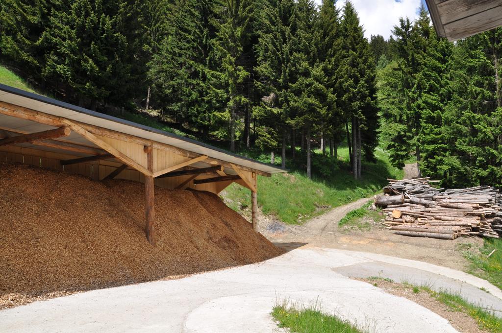 Appartamento Almen-Kraeuter-Oberreiter Dellach im Drautal Esterno foto