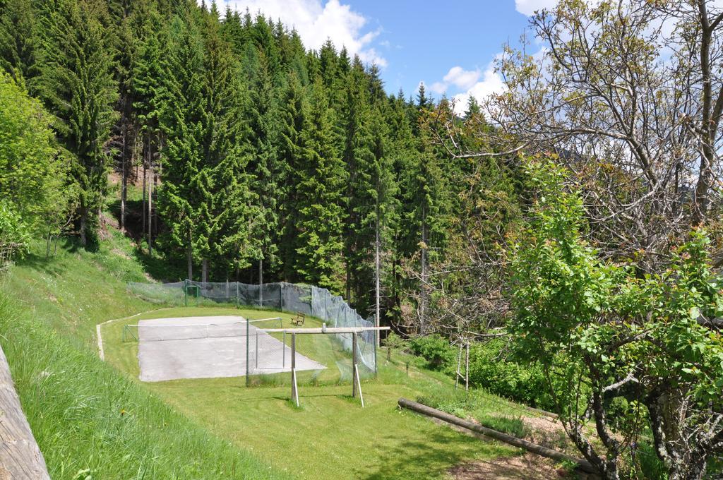 Appartamento Almen-Kraeuter-Oberreiter Dellach im Drautal Esterno foto